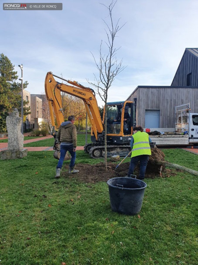 2020 - plantation arbre laicite