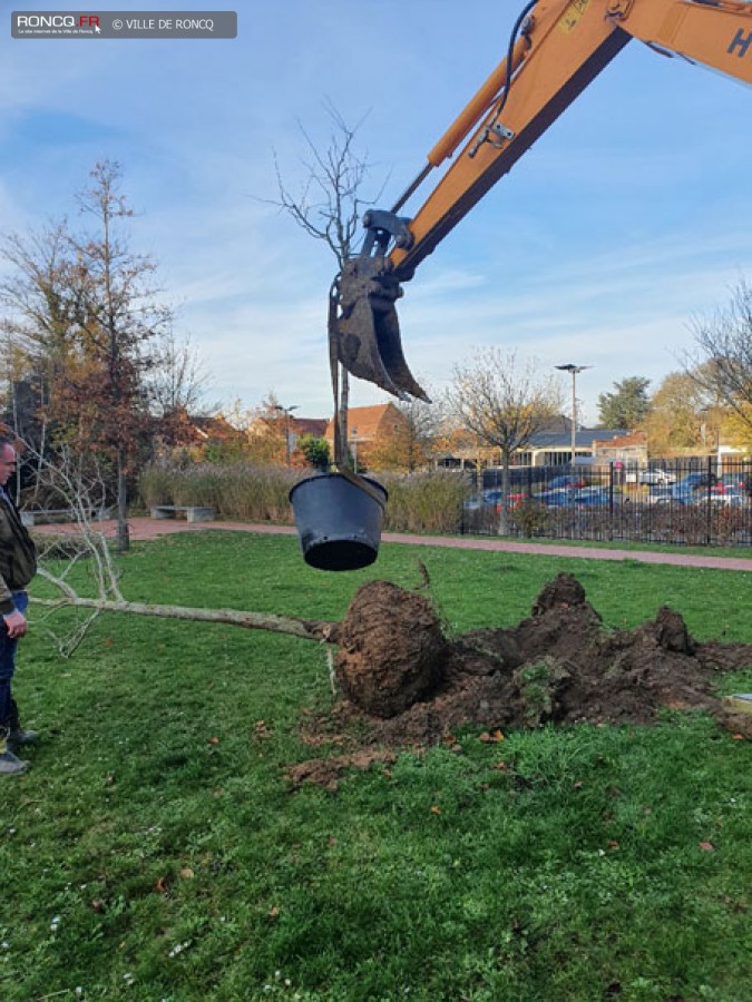 2020 - plantation arbre laicite