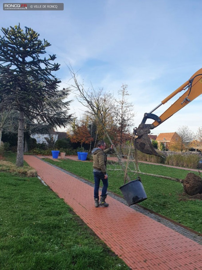 2020 - plantation arbre laicite