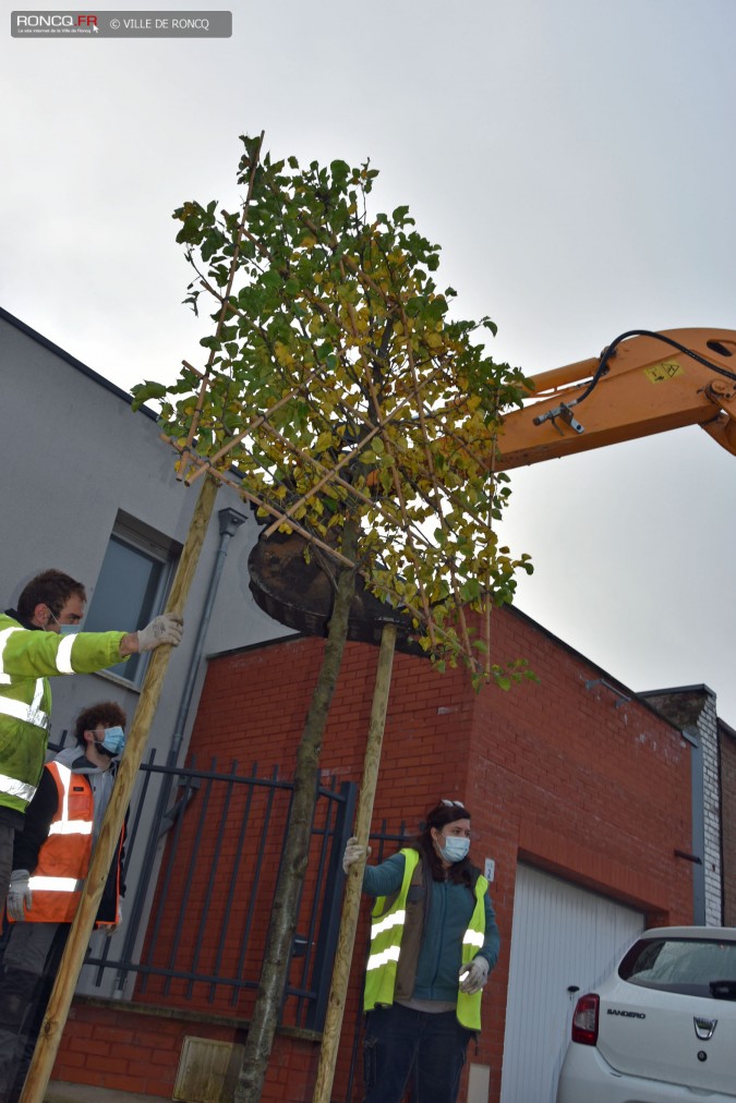 2020 - Plantations rue du Moulin