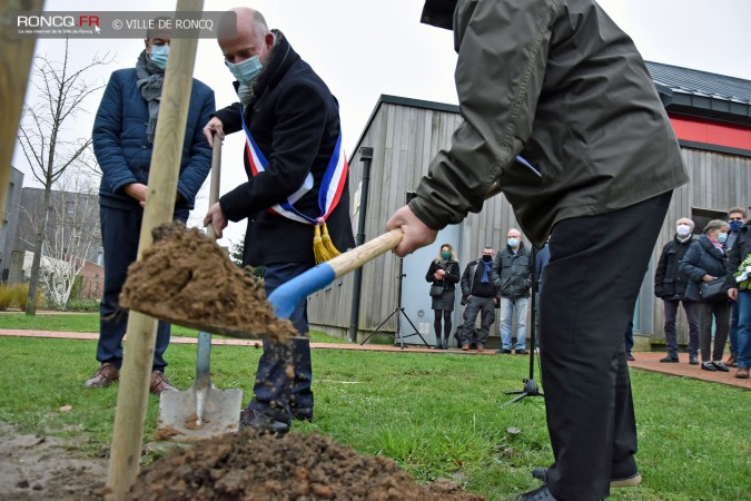 2020 - Arbre de la laicite