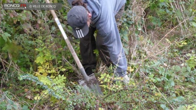  Biodiversité