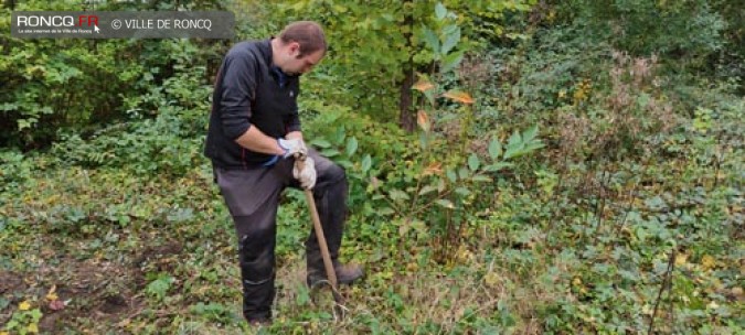  Biodiversité