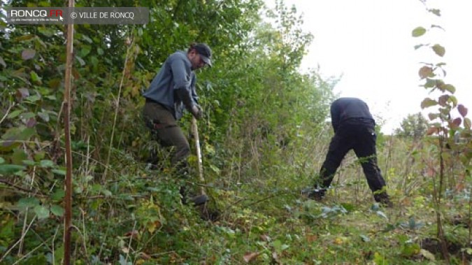  Biodiversité