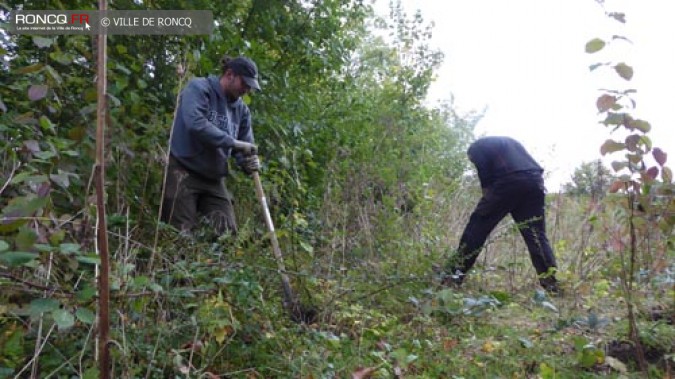  Biodiversité