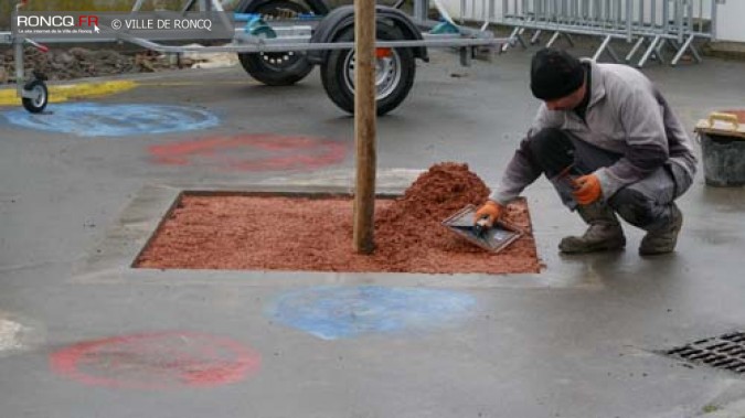 paillage de l'école 