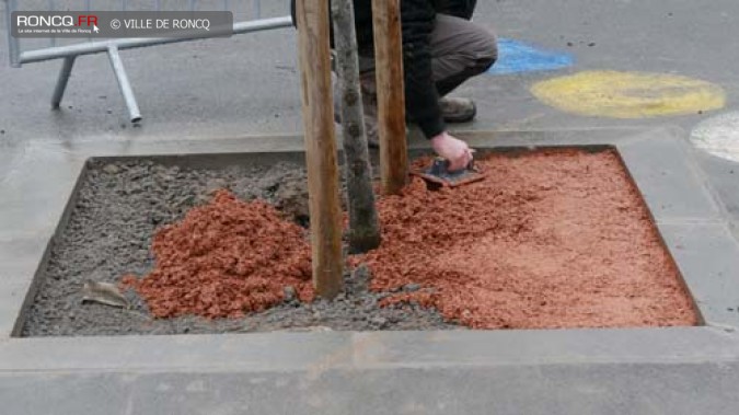 paillage de l'école 