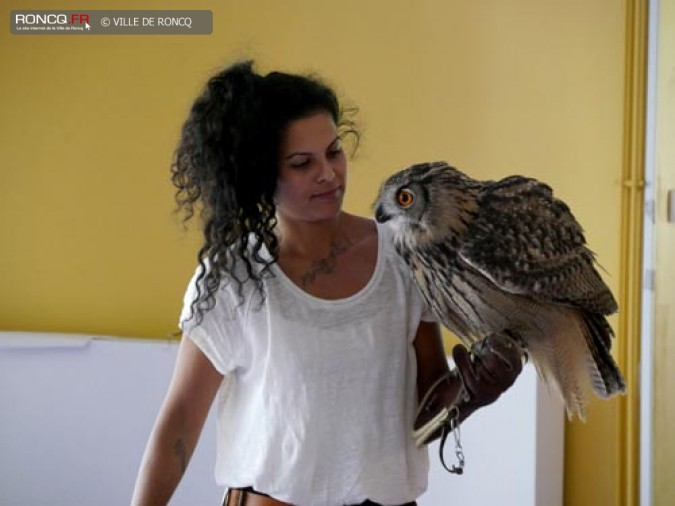PLUMES SAUVAGES ALSH