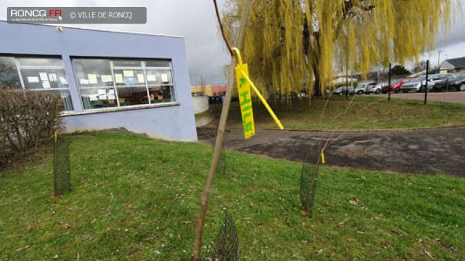 MINI FORET EN DEVENIR A L'ECOLE BREL 