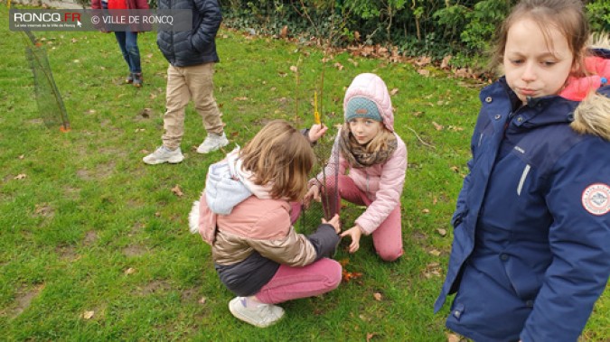 MINI FORET EN DEVENIR A L'ECOLE BREL 